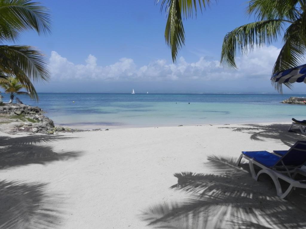 Appartement T1 Sur La Plage Et Vue Mer Le Gosier  Ruang foto